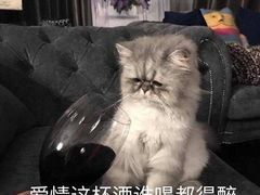 -奉化一页时尚KTV(奉化店)