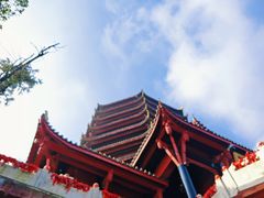 -青城山