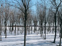 -天津东丽湖风景区