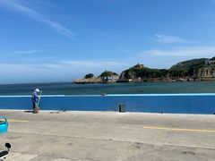 -魚當家