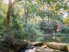 -中国茶叶博物馆(双峰馆区)
