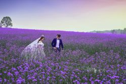 -雪中彩影婚纱摄影·微光艺术中心