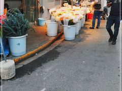 -循礼门鲜花花市(武汉循礼门店)