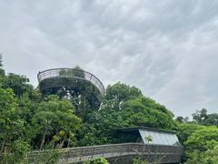 -福道