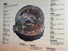 -南京科技馆
