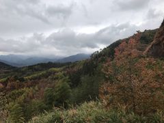-塔川景区