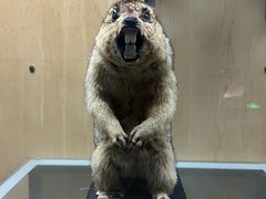 -陕西自然博物馆