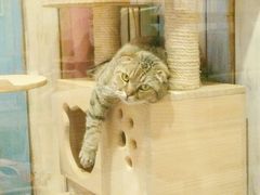 -小时光咖啡馆(开森度假森林店)