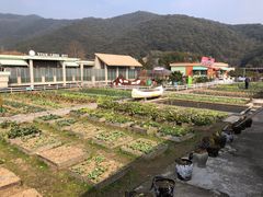 -宁波九龙湖开元度假村