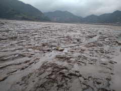 -北岐滩涂