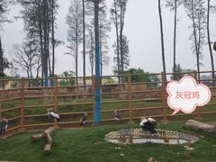 -武汉动物园