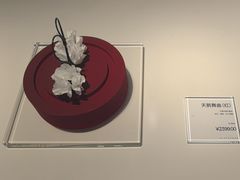 -BLACKSWAN黑天鹅(环球店)