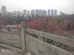 -重庆彩云湖湿地公园