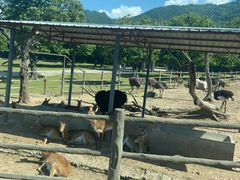 -西安秦岭野生动物园