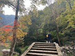 -刘伯温故里景区百丈漈