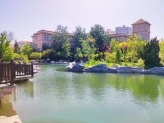 -绿岛公园(滨海新区)