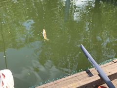 -酷鱼垂钓CLUB(朝阳区博大路店 )