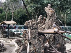 -成都动物园