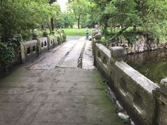 -水绘园