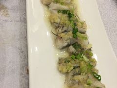 姜蓉蒸九肚鱼-沙河粉村·国家非遗传承(云台店)