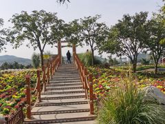 -羊亭河湿地公园