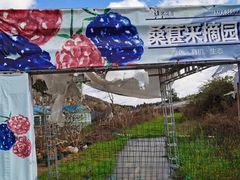 -名花谷生态庄园