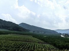 -香炉山国家森林公园