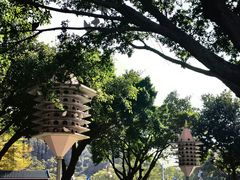-顺峰山公园
