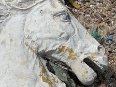 -碣石国家级海洋公园