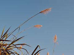 -火炉山森林公园