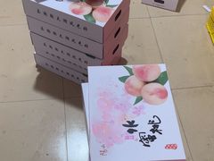 -老袁家蜜桃农场·阳山水蜜桃