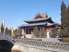 -大槐树寻根祭祖园