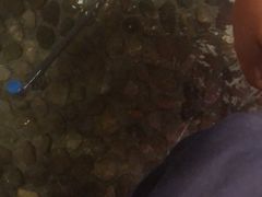 -印象江南(东栅店)