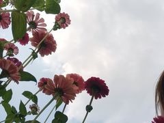 -映月湖中央公园