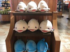 -广州融创文旅城