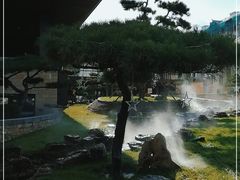 -白桦林温泉谷
