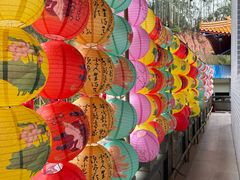 -南宁良凤江国家森林公园