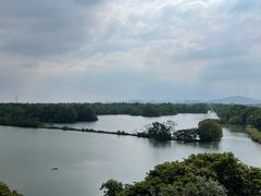 -大湾区中央湿地公园