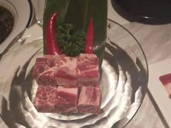 -汤城·料青山