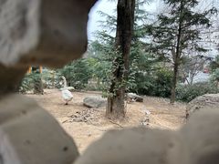 -太白山御龙湾温泉