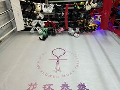 -花环泰拳·勒德斯拉泰拳馆(静安店)