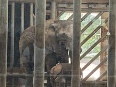 -石家庄市动物园