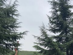 -皇城相府