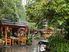 -青城甲(青城山店)