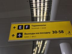 -谢列梅捷沃国际机场