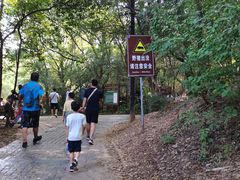 -紫金山山顶公园