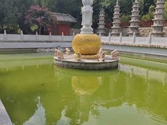 -泰山风景名胜区-普照寺