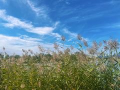 -野鸭湖国家湿地公园