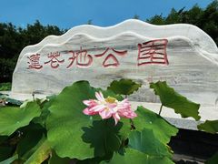 -莲花池公园