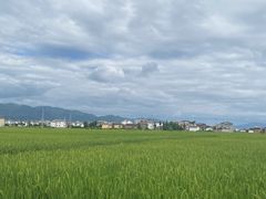 -大理洱海